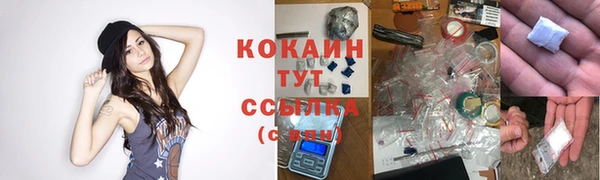 спайс Богородск