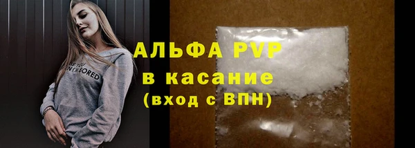 мяу мяу кристалл Богданович