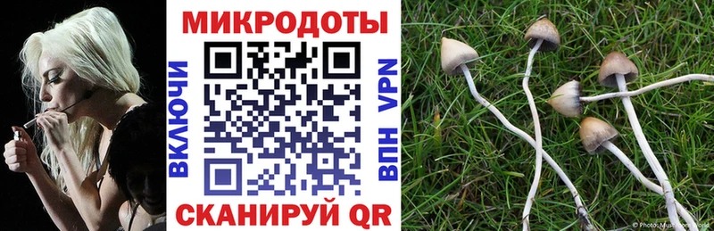 Псилоцибиновые грибы ЛСД  mega ТОР  Владимир 