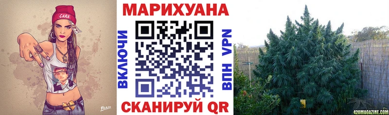 Бошки Шишки ГИДРОПОН Владимир